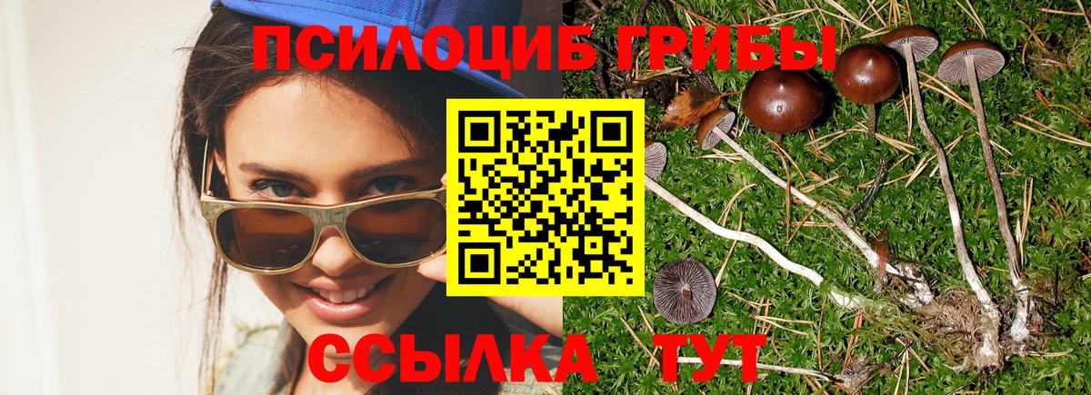 Галлюциногенные грибы GOLDEN TEACHER Старый Оскол
