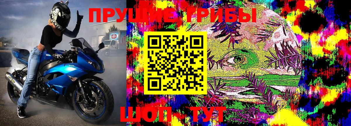 Галлюциногенные грибы Psilocybine cubensis  Вход с VPN  Галлюциногенные грибы мицелий  Старый Оскол 